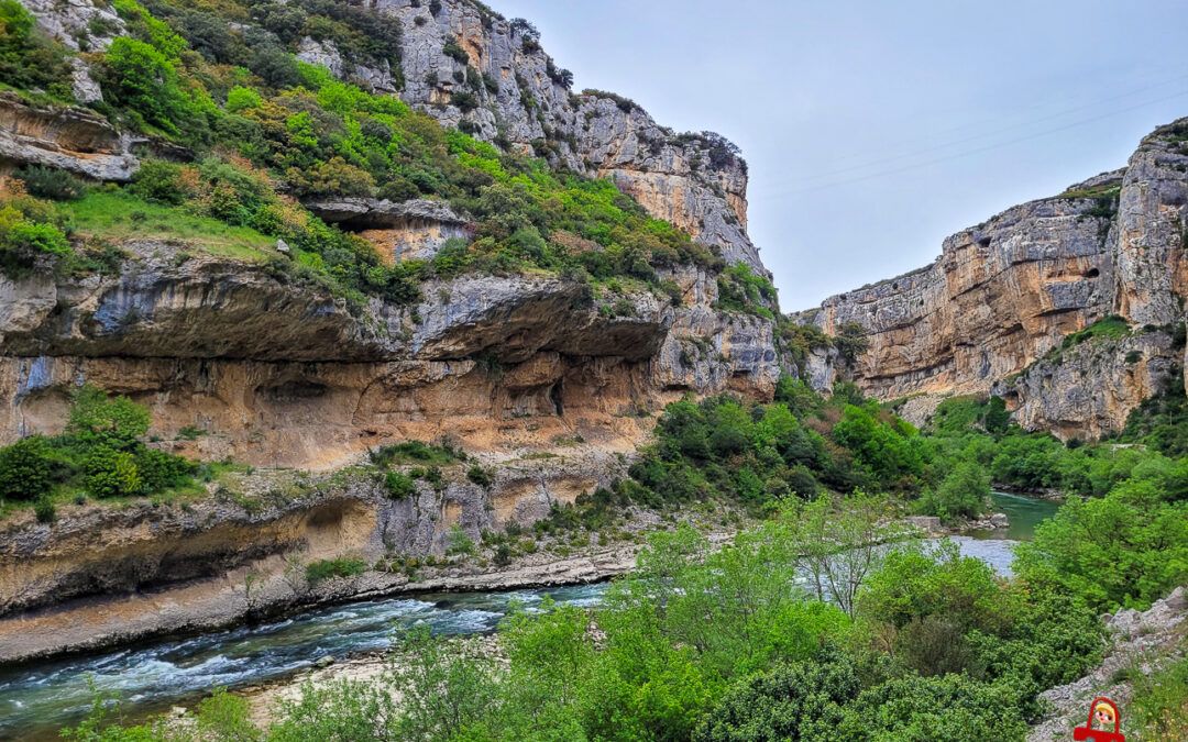 Taxi turístico Navarra Irati Roncal Javier